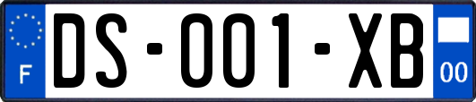DS-001-XB