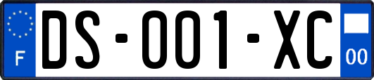 DS-001-XC