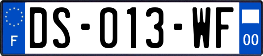 DS-013-WF