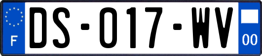DS-017-WV