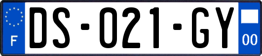 DS-021-GY