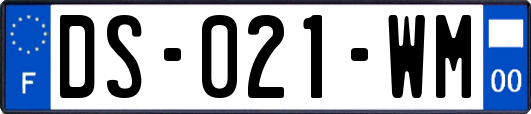 DS-021-WM