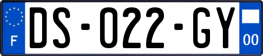 DS-022-GY