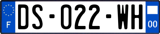 DS-022-WH