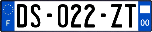 DS-022-ZT