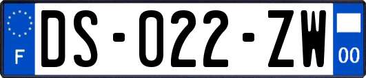 DS-022-ZW