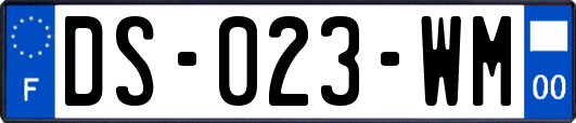 DS-023-WM