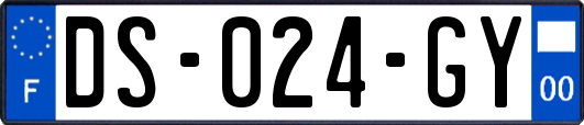 DS-024-GY