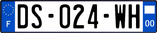 DS-024-WH