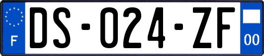 DS-024-ZF