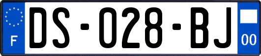 DS-028-BJ