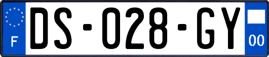 DS-028-GY
