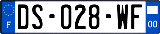 DS-028-WF