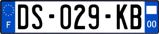 DS-029-KB