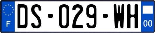DS-029-WH