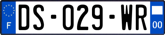 DS-029-WR