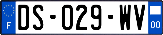 DS-029-WV