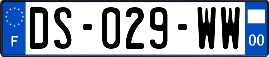 DS-029-WW