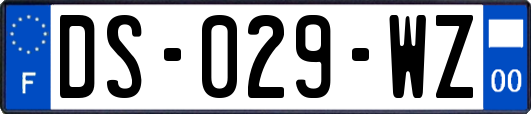 DS-029-WZ
