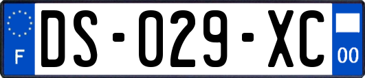 DS-029-XC