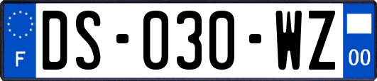 DS-030-WZ