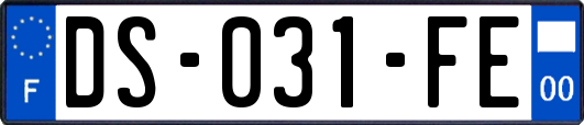 DS-031-FE