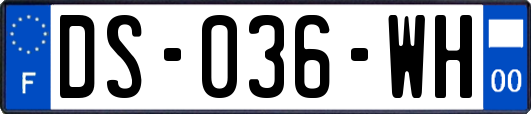 DS-036-WH