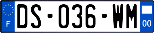 DS-036-WM