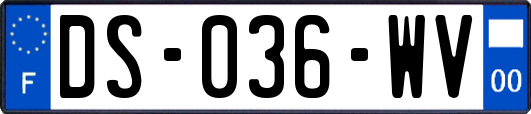 DS-036-WV