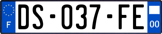 DS-037-FE