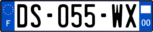 DS-055-WX