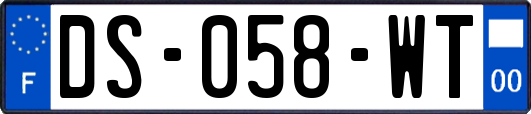 DS-058-WT