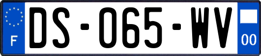 DS-065-WV