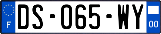 DS-065-WY
