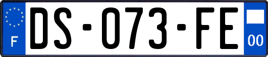 DS-073-FE