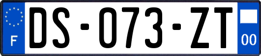DS-073-ZT