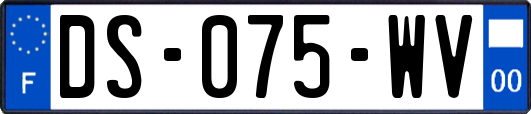 DS-075-WV