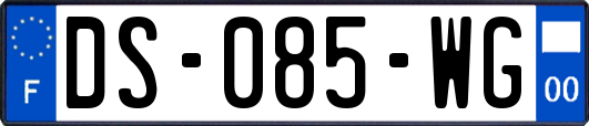 DS-085-WG