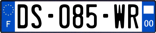 DS-085-WR