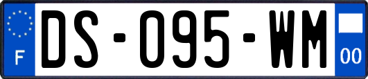 DS-095-WM