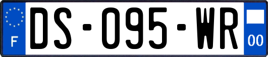 DS-095-WR