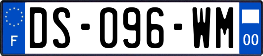 DS-096-WM