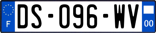 DS-096-WV