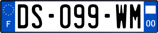 DS-099-WM