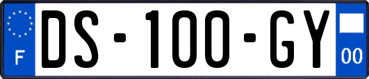 DS-100-GY