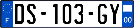 DS-103-GY