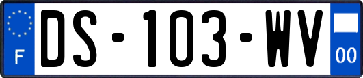 DS-103-WV