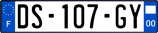 DS-107-GY