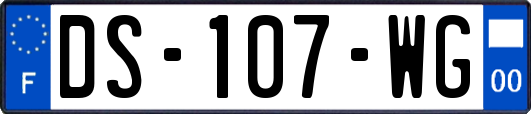 DS-107-WG