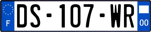 DS-107-WR